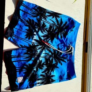 American Eagle Bathing Suit (Mens-L)